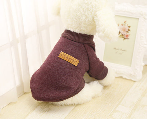 Chihuahua Jacket, Coat & Sweater