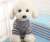 Chihuahua Jacket, Coat & Sweater