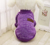 Chihuahua Jacket, Coat & Sweater