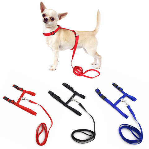 Small Pet Dog Harness And Leash Chihuahua