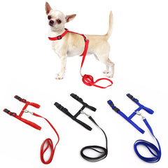 Small Pet Dog Harness And Leash Chihuahua