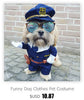 Chihuahua Jacket, Coat & Sweater